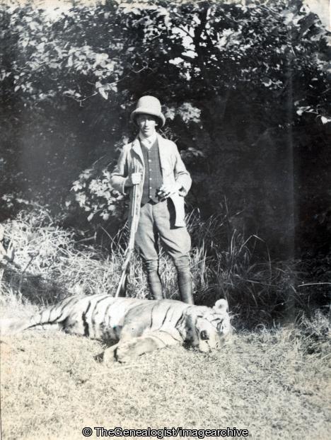 Leachman and Tiger (C1910, Gerard Leachman, Hunting Rifle, India, Tiger)