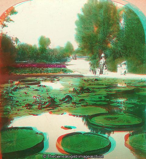 Lily Pond Washington Park (3d, Chicago, Illinois, Park, U.S.A., Washington Park)