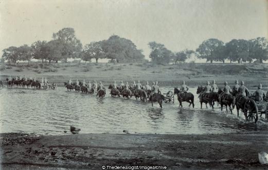 Near Kirkee RFA 1899 (1899, Bombay, Gun And Limber, Horse, India, Khadki, Kirkee, Maharashtra, Regiment, River, Royal Field Artillery, Weapon)