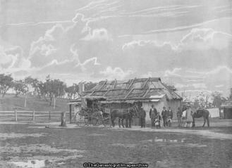 New South Wales Post Office (Australia, Horse, Horse and Carriage, New South wales, Post Office)