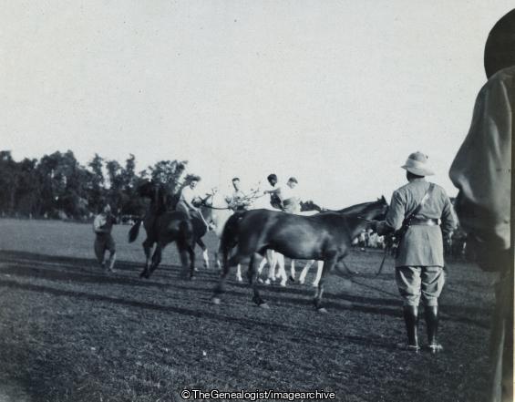 Polo match (Horse, India, Military, Polo)