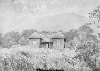 Post Office British Central Africa (Africa, Malawi, Post Office, Zomba Mountains)
