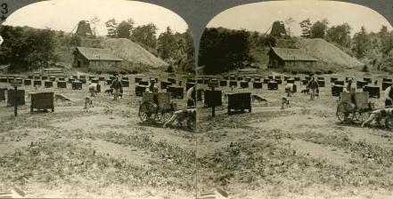 Red Cross Dog Encampment Behind the Lines in the French Sector (3d, C1917, Dog Cart, Kennel, Red Cross, Red Cross Dog, Series, WW1)