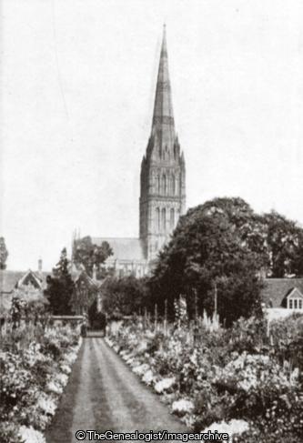 Salisbury Cathedral from Archdeacon Bunchanans Garden (Archdeacon Bunchanans Garden, Salisbury, Salisbury Cathedral)