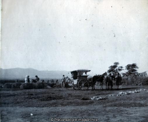 Section Camp Hangu Nov 1902 (1902, C1900, Camp, Hangu, horse and cart, India, Kohat Mountain Battery, North West Frontier Province, Pakistan, Royal Artillery)
