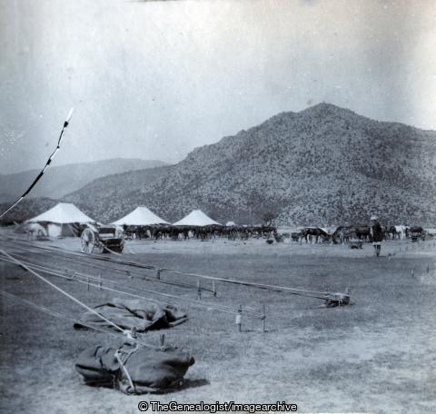 Section Camp Hangu Nov 1902 (1902, C1900, Camp, Hangu, Horse, India, Kohat Mountain Battery, Mule, North West Frontier Province, Pakistan, Royal Artillery, Tent)