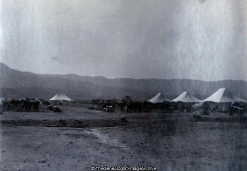Section Camp (1904, C1900, cannon, Hangu, India, Kohat Mountain Battery, Mule, North West Frontier Province, Pakistan)