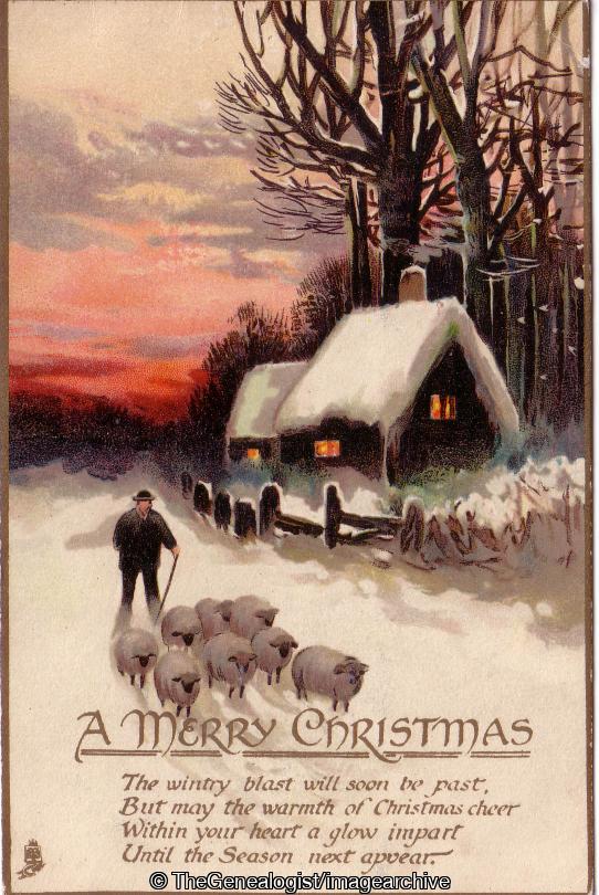 Sheep (Christmas Wishes, Shepherd, Snow)