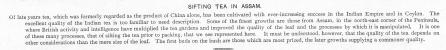 Sifting Tea in Assam (Assam, India, Tea, Tea Sifter)