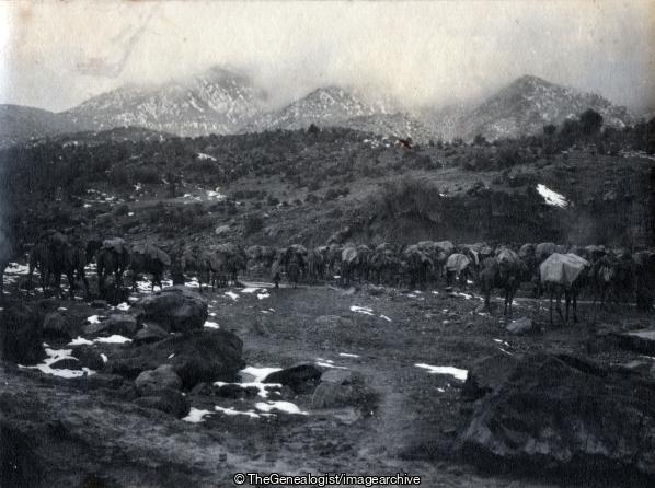 Tauda China Nala in Winter 1922 (1922, Camel, India, North West Frontier Province, Pakistan, Snow, Tauda China)