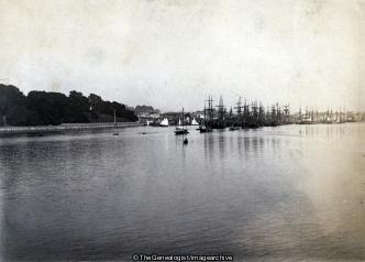 Teignmouth Fleet of sailing fishing vessels and railway line about 1890 (sailing boat, Shaldon Bridge, Teignmouth)