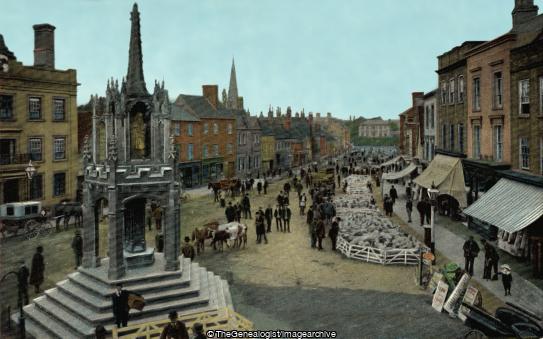 The Market, Leighton (Bedfordshire, England, Leighton Buzzard, leighton market, Market Cross, Sheep)