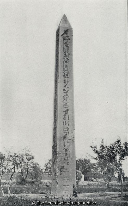 The Obelisk of Heliopolis (Egypt, Heliopolis, Obelisk, Obelisk of Heliopolis)