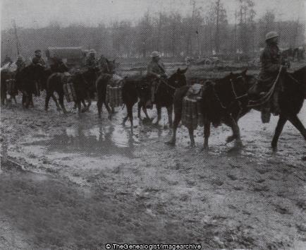 The Somme 'The Greatest Battle in History' Mules hock deep in mud carrying shells to the field guns (16th Battalion, 1916, Ammunition, Battle of the Somme, Field Gun, France, Highland Light Infantry, mud, Mule, Picardie, Shell, WW1)