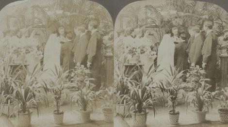 The Wedding 1 - The Marriage (1897, 3d, Series, Social, The Wedding)
