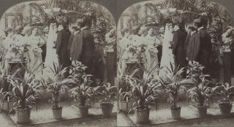The Wedding 2 - Kissing the Bride  (1897, 3d, Series, Social, The Wedding)