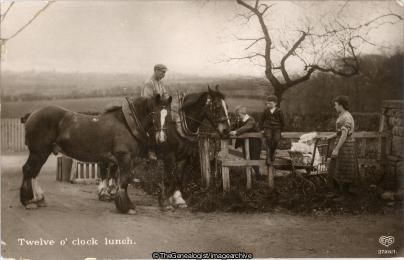 Twelve O' Clock Lunch 1920s (C1920, family, Farmer, Horse, Lunch, Social)