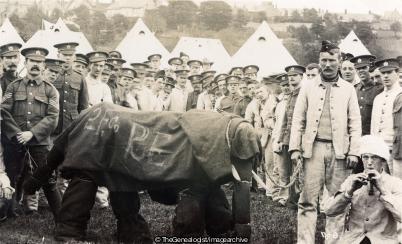 WW1 Manchester Engineers pet elephant (2 Field Company, Camp, Elephant, Manchester Engineers, WW1)