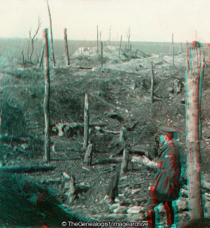 WWI - Desolate Waste on Chemin des Dames Battlefield France (3d, Battle of the Aisne, Battlefield, Chemin des Dames, France, No Man's Land, Picardie, Plateau, Shattered Tree, Soissons, WW1)