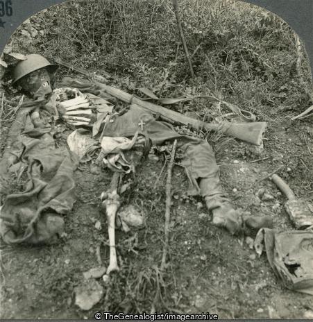 WWI - Human Wreckage in No Man's Land, Chemin des Dames, France (3d, Chemin des Dames, France, Helmet, rifle, skeleton, Soissons, War Dead, Weapon, WW1)