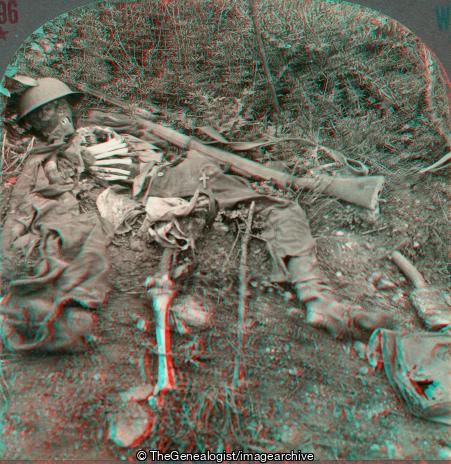 WWI - Human Wreckage in No Man's Land, Chemin des Dames, France (3d, Chemin des Dames, France, Helmet, rifle, skeleton, Soissons, War Dead, Weapon, WW1)